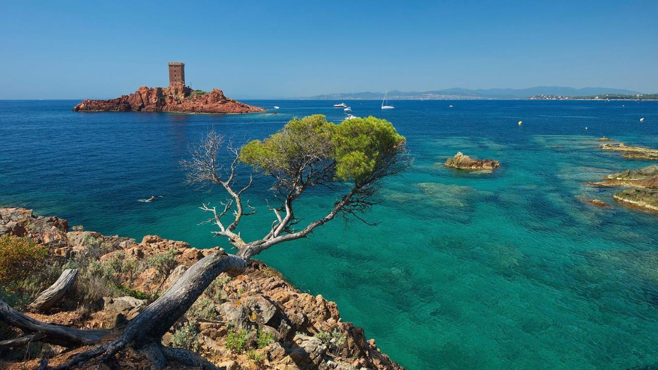 Appartement Zen A Frejus Avec Jardin, Piscine, Tennis, Proche Mer Ngoại thất bức ảnh